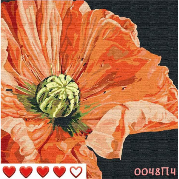 Картина за номерами (малювання по цифрам, живопис) 0048Л4 (Червоний мак)