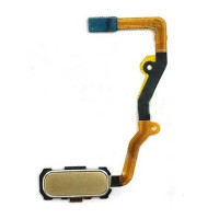 Шлейф (Flat cable) Samsung G935F Galaxy S7 Edge | G935FD з кнопкою меню "Home" (Золотий)
