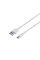 Мережевий Зарядний Пристрій Borofone BA37A Type-C 2USB 2.4A