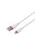Сетевое Зарядное Устройство Borofone BA49A Lightning 2,1A