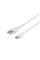 Мережевий Зарядний Пристрій Hoco C73A 2USB Type-C 2.4A