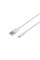 Мережевий Зарядний Пристрій Borofone BA23A Lightning 2USB 2.4A