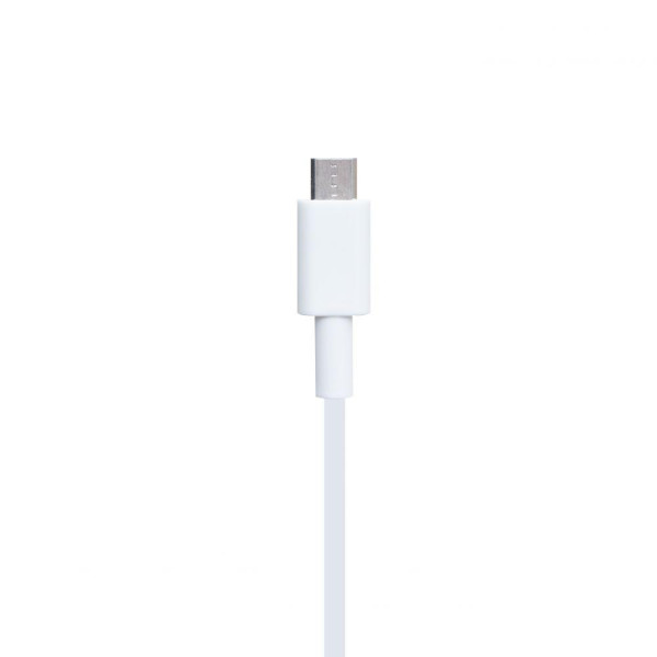 Мережевий Зарядний Пристрій Hoco C59A Mega Joy Micro 2USB 2,4A