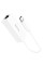 Перехідник Hoco UA22 Type C to Ethernet adapter (100 Mbps)