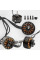 Мотор безколекторний Arthur Flash Hobby A4312 380KV, для дронів на 13 дюймовій рамі