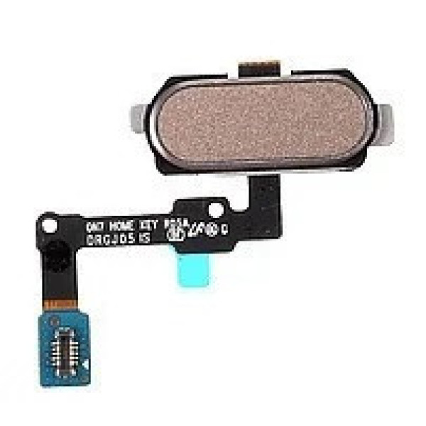 Шлейф (Flat cable) Samsung G570F Galaxy J5 Prime (2016) с кнопкой меню Home (Золотой)