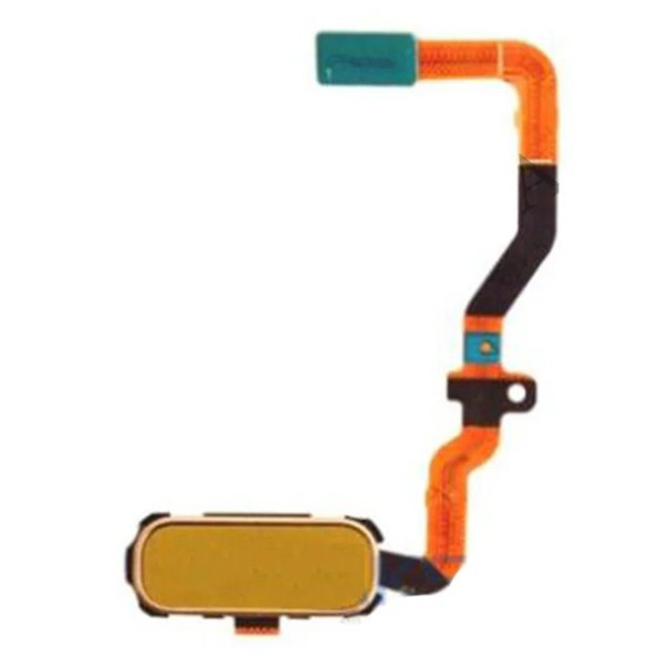 Шлейф (Flat cable) Samsung G930F Galaxy S7 с кнопкой меню (Золотая)