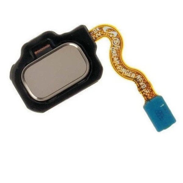 Шлейф (Flat cable) Samsung G950F Galaxy S8 | G955 с кнопкой Home (Золотая)(Maple Gold)