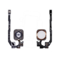 Кнопка домой со шлейфом (home flex) для Apple iPhone 5S (Золотая)
