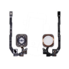 Кнопка домой со шлейфом (home flex) для Apple iPhone 5S (Золотая)