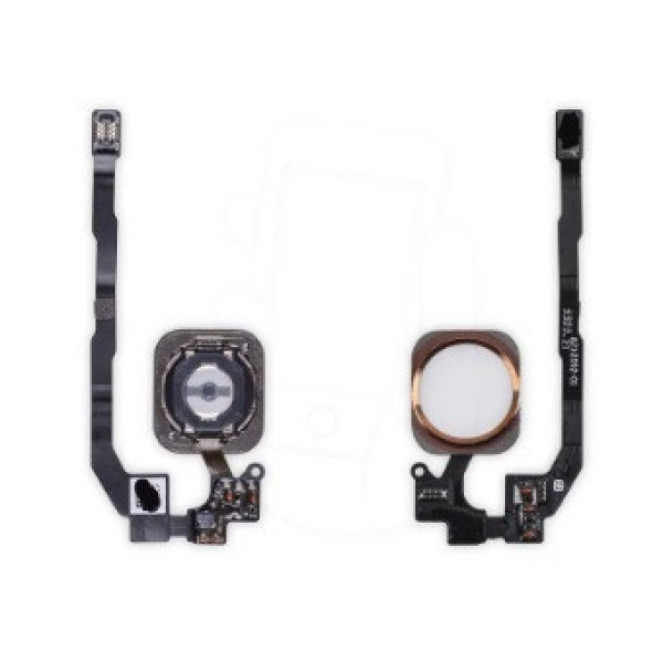 Кнопка додому зі шлейфом (home flex) для Apple iPhone 5S (Золота)